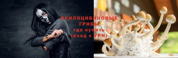 Альфа ПВП Баксан