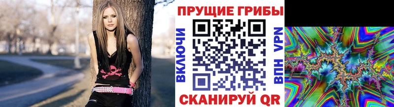 Галлюциногенные грибы ЛСД omg Бузулук